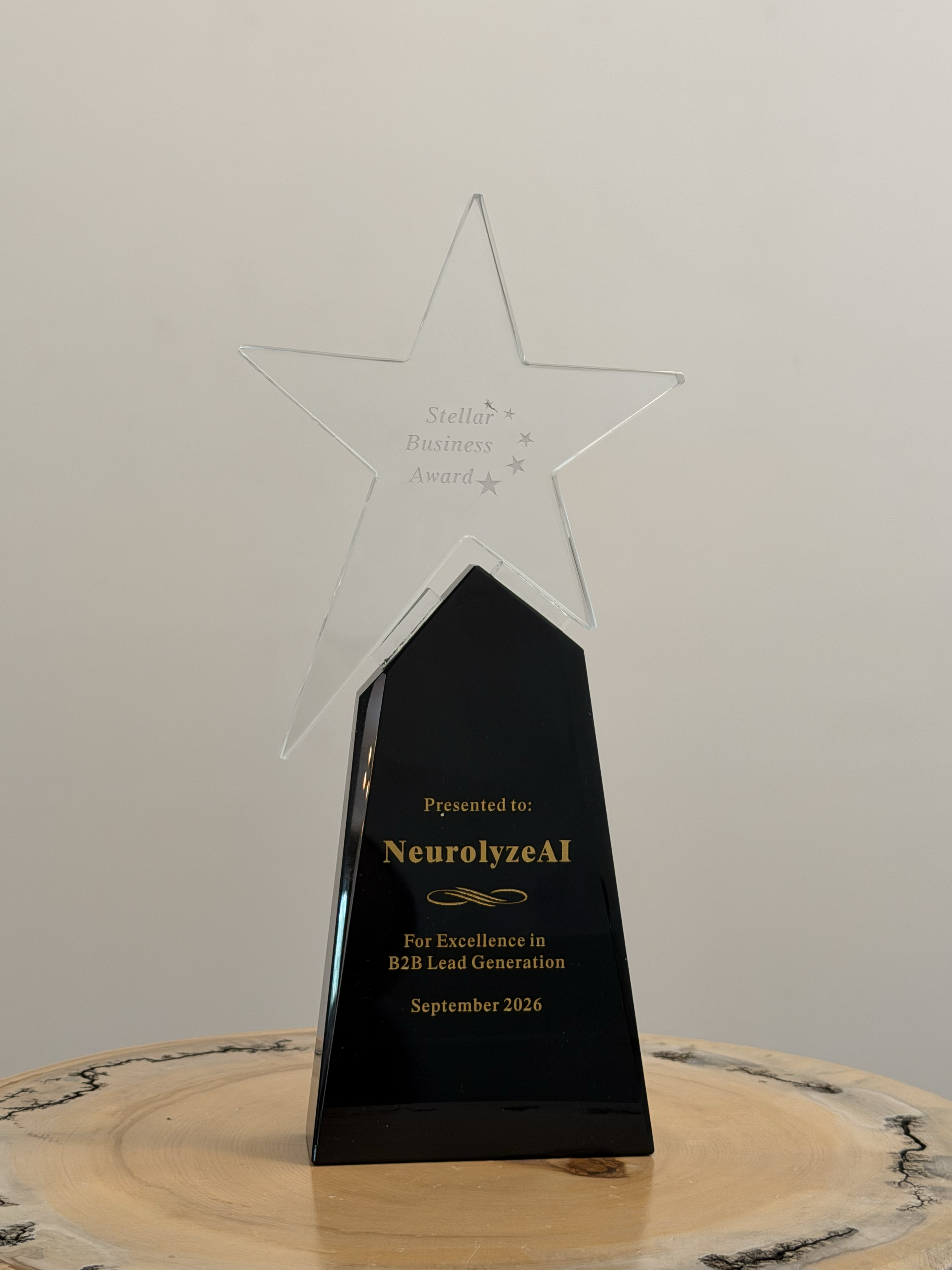 Stellar Business Award trophy for Best B2B Lead Generation 2026